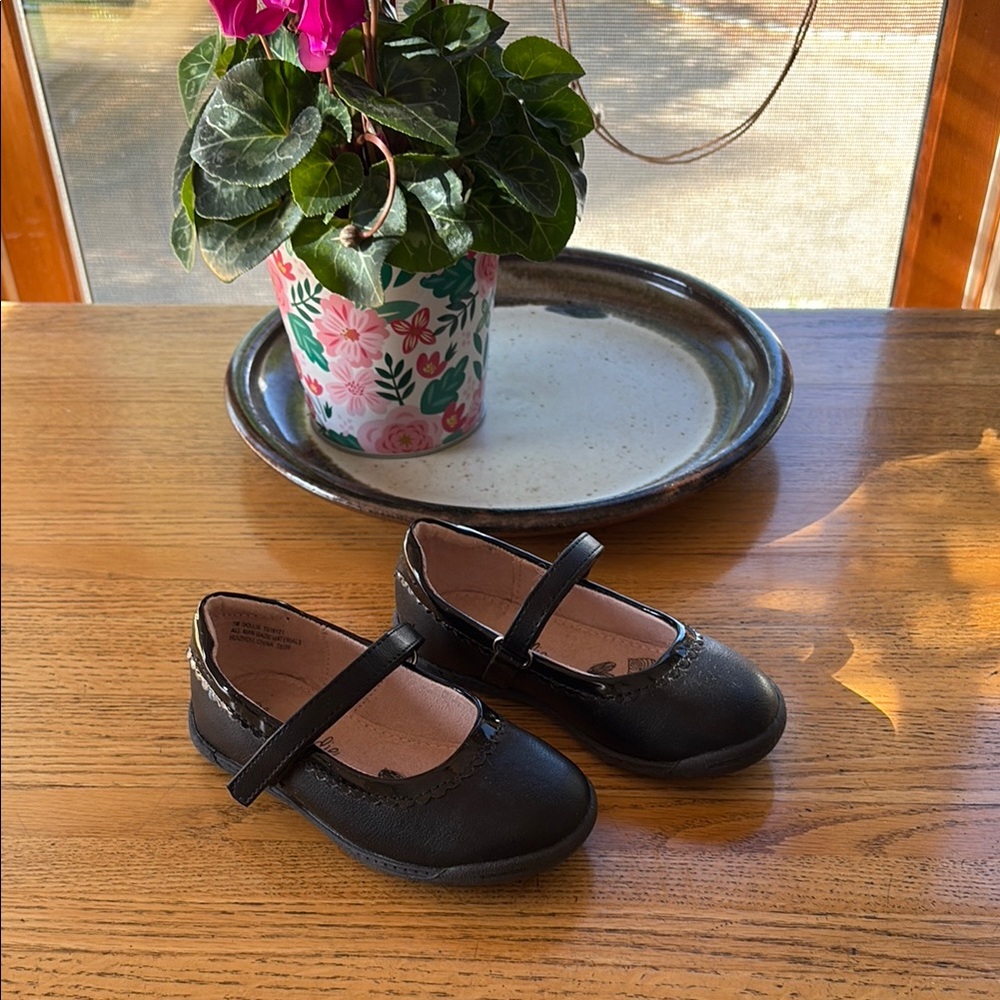 Pretty Mary Jane flats 🦩